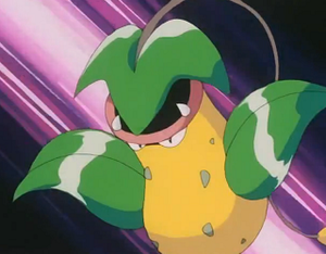 EP169 - Empiflor de James.png