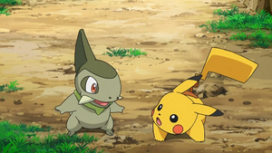NB112 - Coupenotte d'Iris et Pikachu de Sacha.png