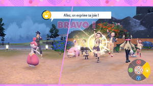 Arène d'Alforneira Examen Joie EV.png