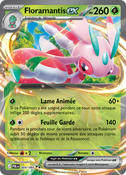 Fichier:Carte Méga-Évolution Nuit Noire 004.png
