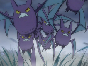 DP043 - Nostenfer.png