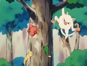 EP207 - Aspicot, Chenipan, Paras et Férosinge.png