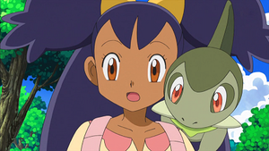 NB003 - Coupenotte d'Iris.png