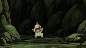 NB064 - Coupenotte d'Iris.png