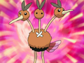 Doduo (d'un Dresseur)