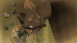 NB127 - Zorua (Flash-back).png