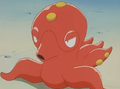 ► Octillery ► (de Marcellus)