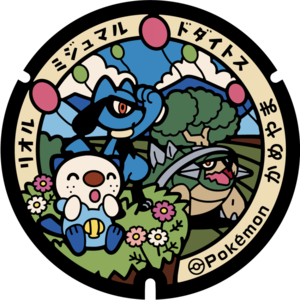 Poké Lid 292 Kameyama.png