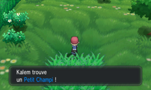 Route 6 Petit Champi XY.png
