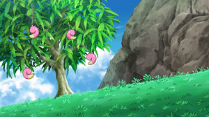 SL035 - Baie Mago.png