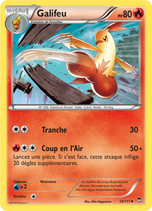 Carte XY Poings Furieux 13.png