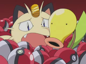 Chétiflor d'Anthony.png