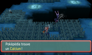 Chenal 124 Calcium ROSA.png