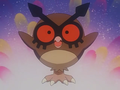 Hoothoot (d'Alexandre le voltigeur)