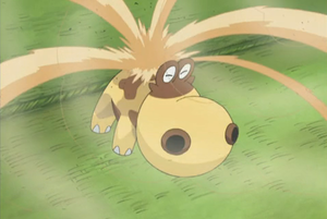 Hippopotas Tourbi-Sable.png