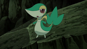 NB044 - Vipélierre de Sacha.png