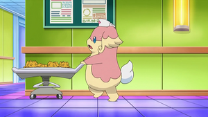 NB081 - Statitik d'un Dresseur.png