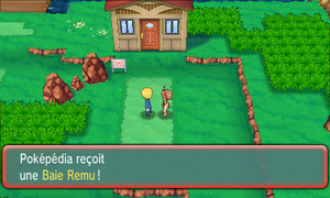 Route 114 Baie Remu ROSA.png