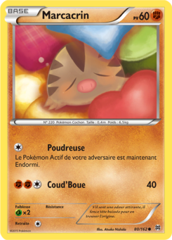 Marcacrin (XY Impulsion TURBO 80)