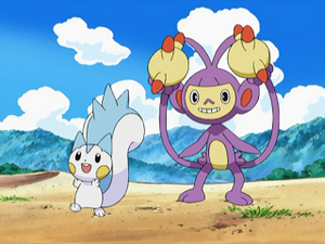 DP065 - Pachirisu et Capidextre d'Aurore.png