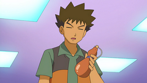 DP190 - Poudre Soin.png