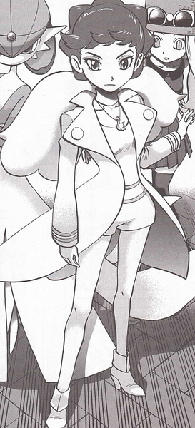Fichier:Dianthéa-PMS.png