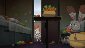 LV005 - Sapereau d'un Dresseur.png