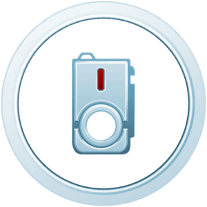 Médaille Sinnoh Argent - GO.png