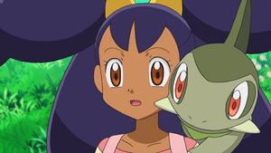 NB065 - Coupenotte d'Iris.png