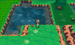 Parc Safari Grande Perle ROSA.png