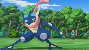 XY118 - Amphinobi de Sacha.png