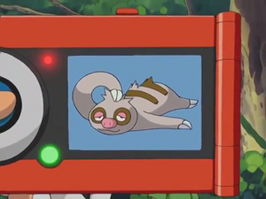 AG069 - Parecool Pokédex.png