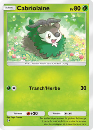 Carte Méga-Ascension 021.png