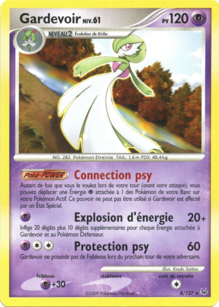 Fichier:Carte Platine 8.png