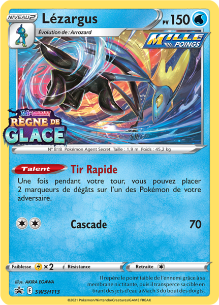 Fichier:Carte Promo SWSH SWSH113.png