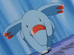 EP243 - Phanpy de Sacha.png