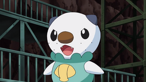 NB061 - Moustillon de Sacha.png