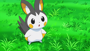NB074 - Emolga d'Iris.png