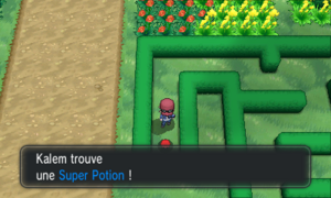 Route 4 Super Potion XY.png