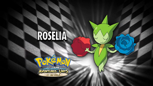 Épisode 782 - Pokémon inconnu révélé.png