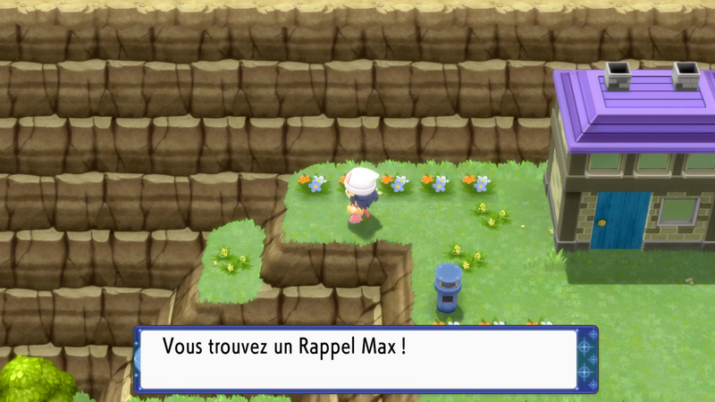 Fichier:Aire de Survie Rappel Max DEPS.png