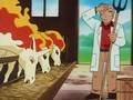 Ponyta et Galopa (du Laboratoire Pokémon du Professeur Chen)