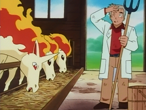 EP065 - Ponyta et Galopa.png