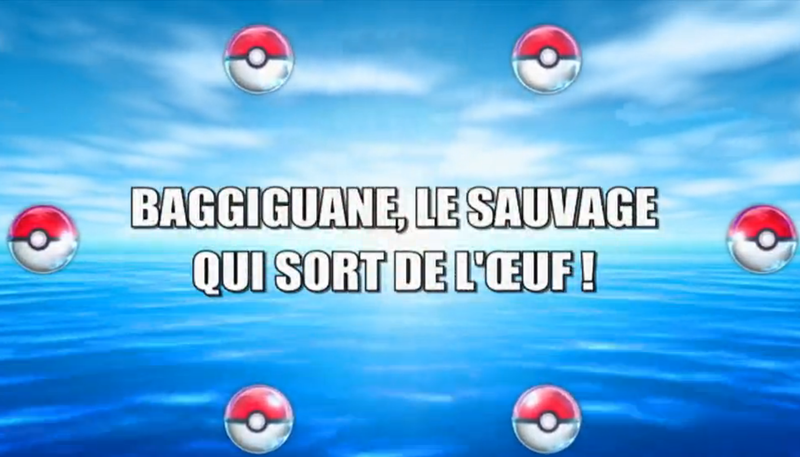 Fichier:Ecran titre NB017 FR.png