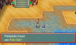 Nénucrique Poké Ball ROSA.png