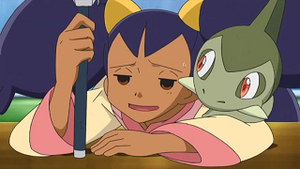 NB037 - Coupenotte d'Iris.png