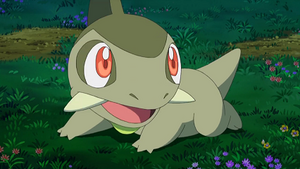 NB045 - Coupenotte d'Iris.png