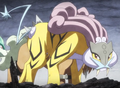 Raikou (sauvage)