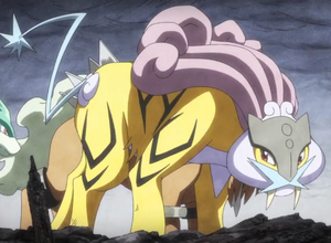 PG06 - Raikou.png