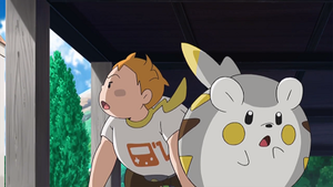SL037 - Togedemaru de Chrys.png